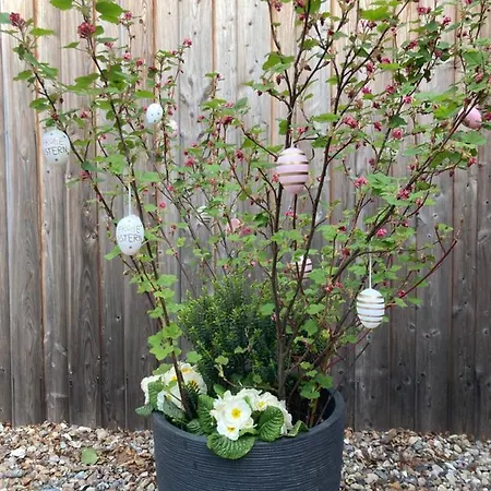 Lejlighed Kleine Stadtapartment